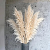 10pcs 120cm Fluffy Large Pampas Grass