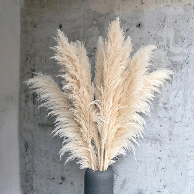 10pcs 120cm Fluffy Large Pampas Grass