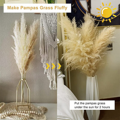 10pcs 120cm Fluffy Large Pampas Grass