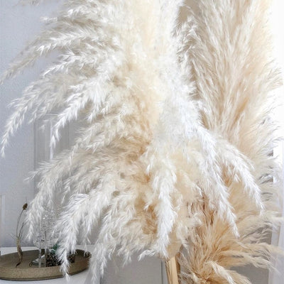 10pcs 120cm Fluffy Large Pampas Grass