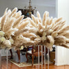 10pcs 120cm Fluffy Large Pampas Grass