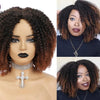 Short Afro Kinky Curly Wigs  Synthetic